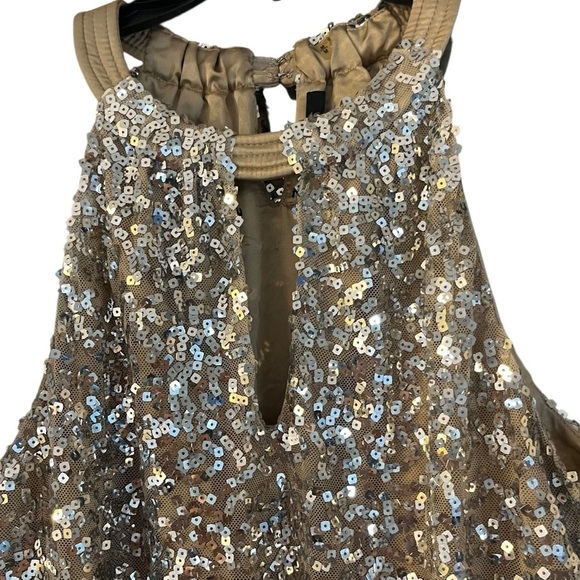 Tahari Nude Mesh w/ Silver Sequins Embellished Halter Top Sz M - Picture 2 of 7